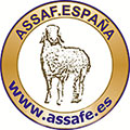 Logo Assafe